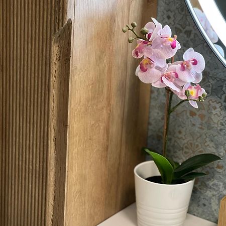 Plumbird Boutique & Apartment Rome Luaran gambar